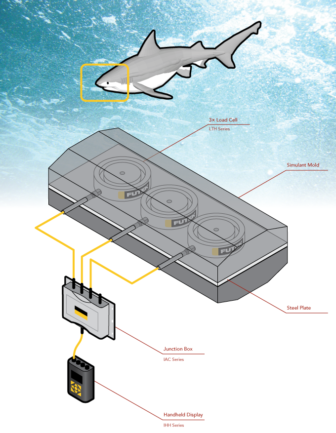 Load Cell - Shark Bite Force Measurement