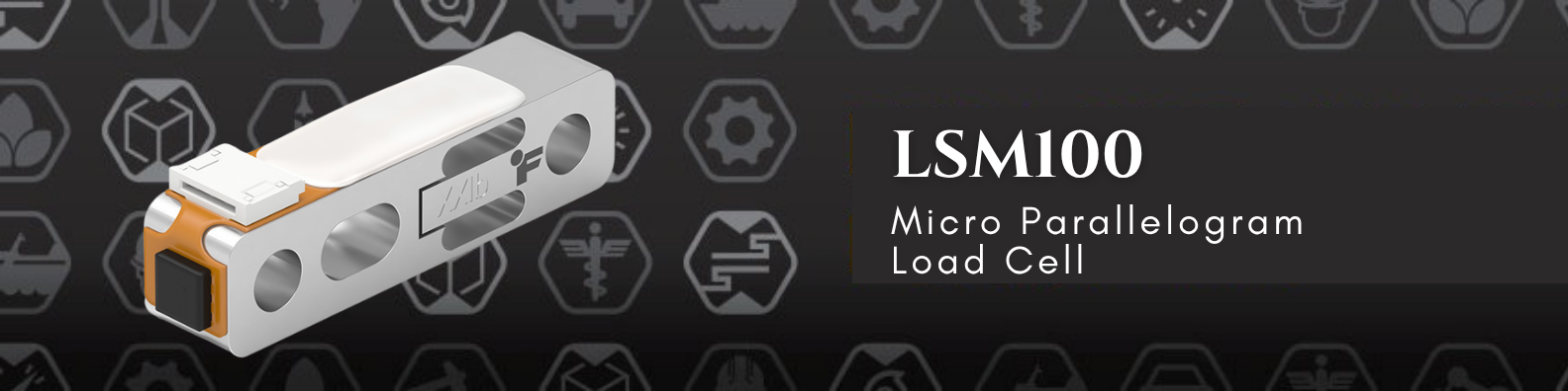 LSM100